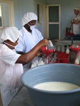 Transformation de lait