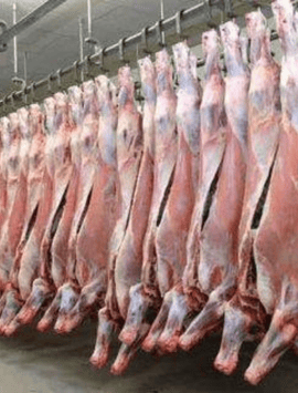 transformation de viande