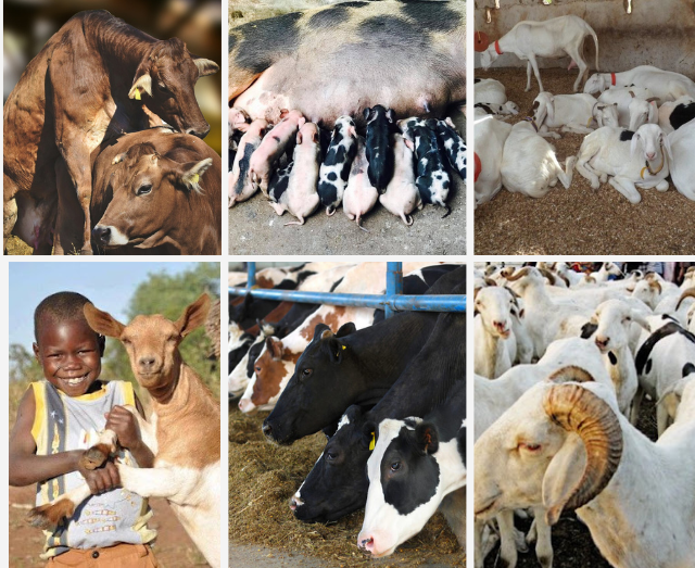 Site fonstab reproduction